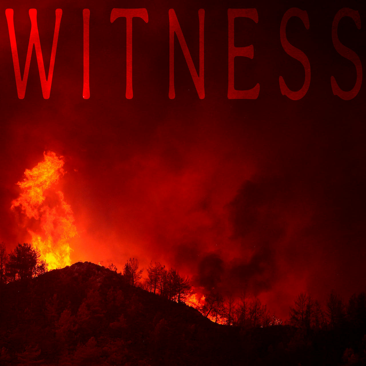 photo of a hillside on fire at night